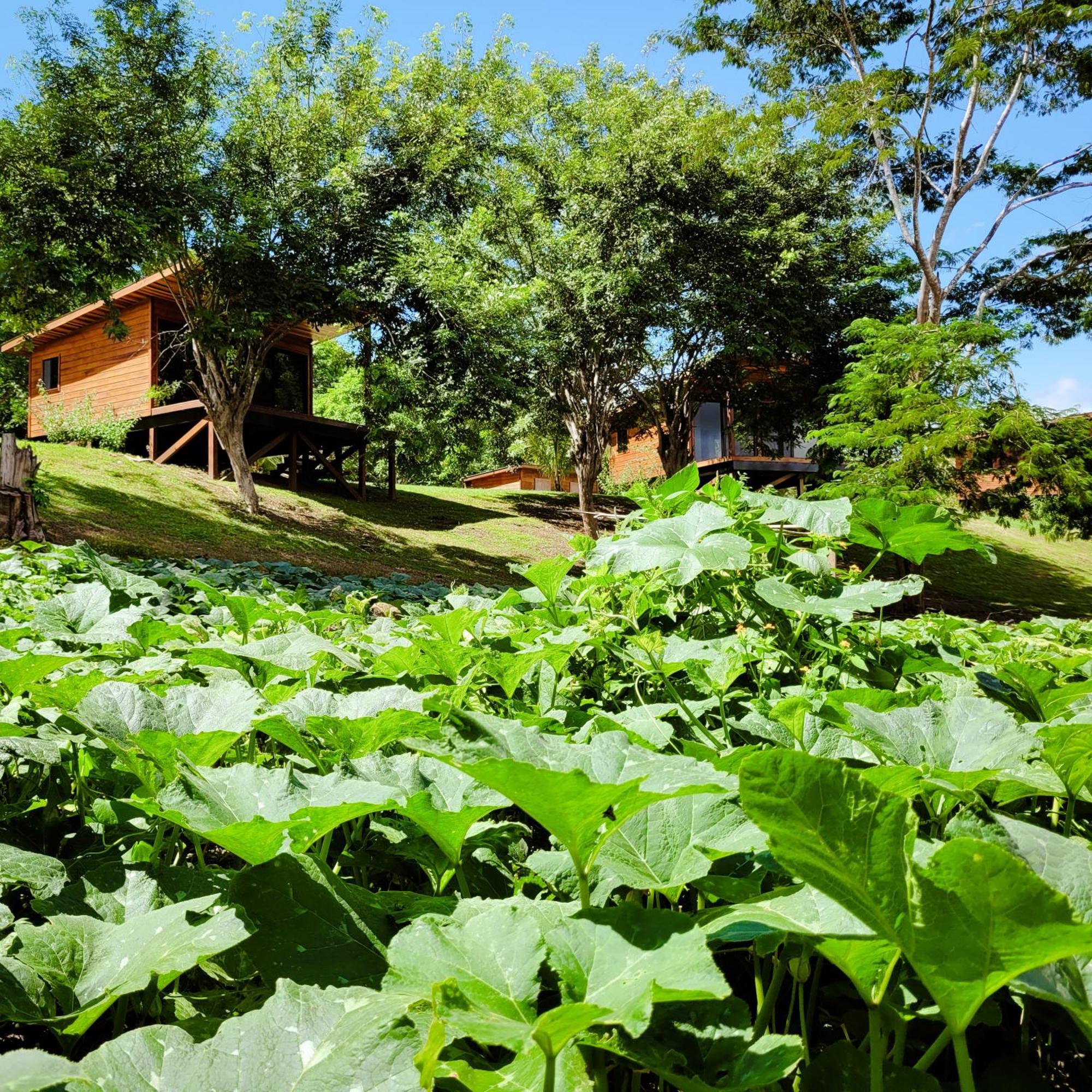 Yumas Riverfront Lodge San Ignacio Exterior foto